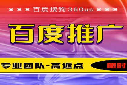 搜索引擎推广的佼佼者——百度搜索推广案例